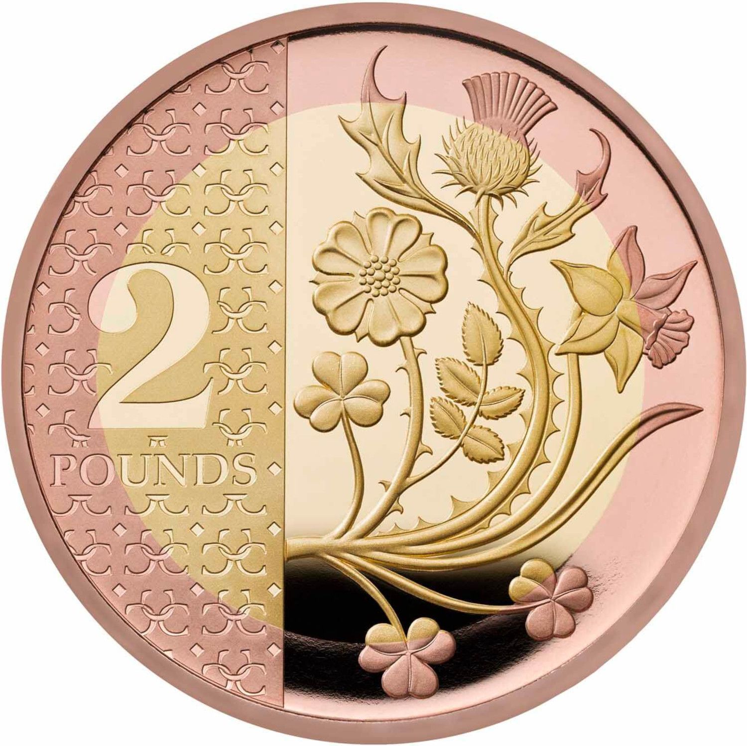 2 Pounds - Charles III English Rose; Gold Proof reverse