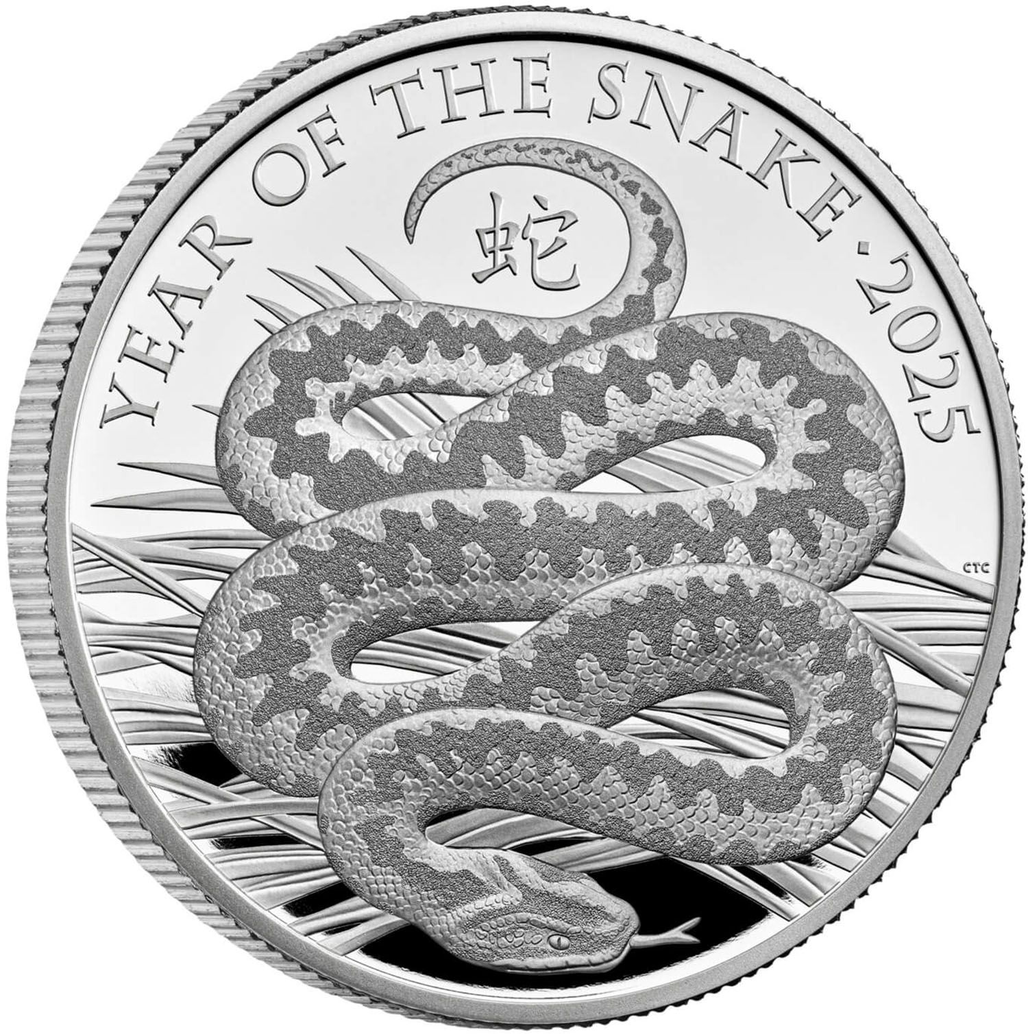2 Pounds - Charles III Year of the Snake; Silver Proof