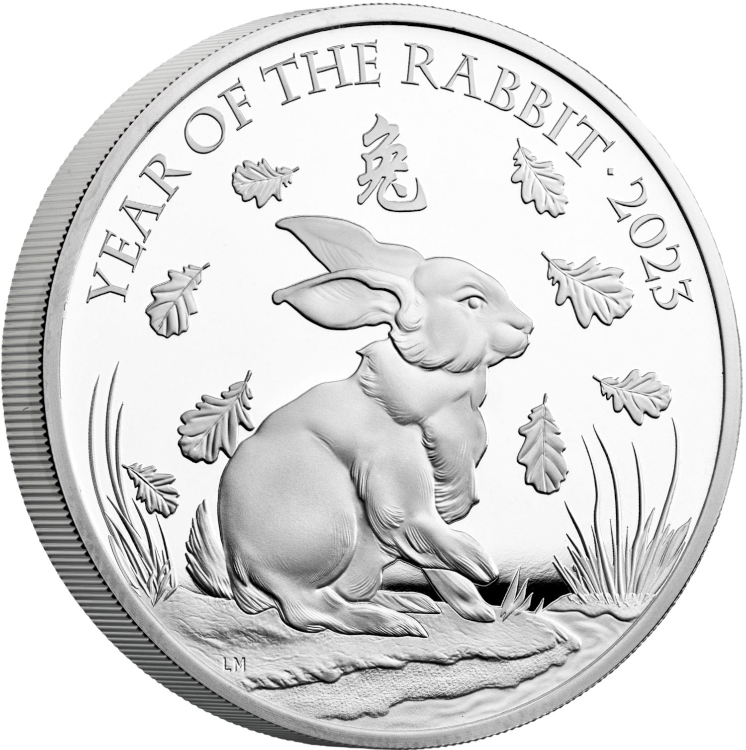 2 Pounds - Elizabeth II Posthumous; Year of the Rabbit; Silver Proof reverse