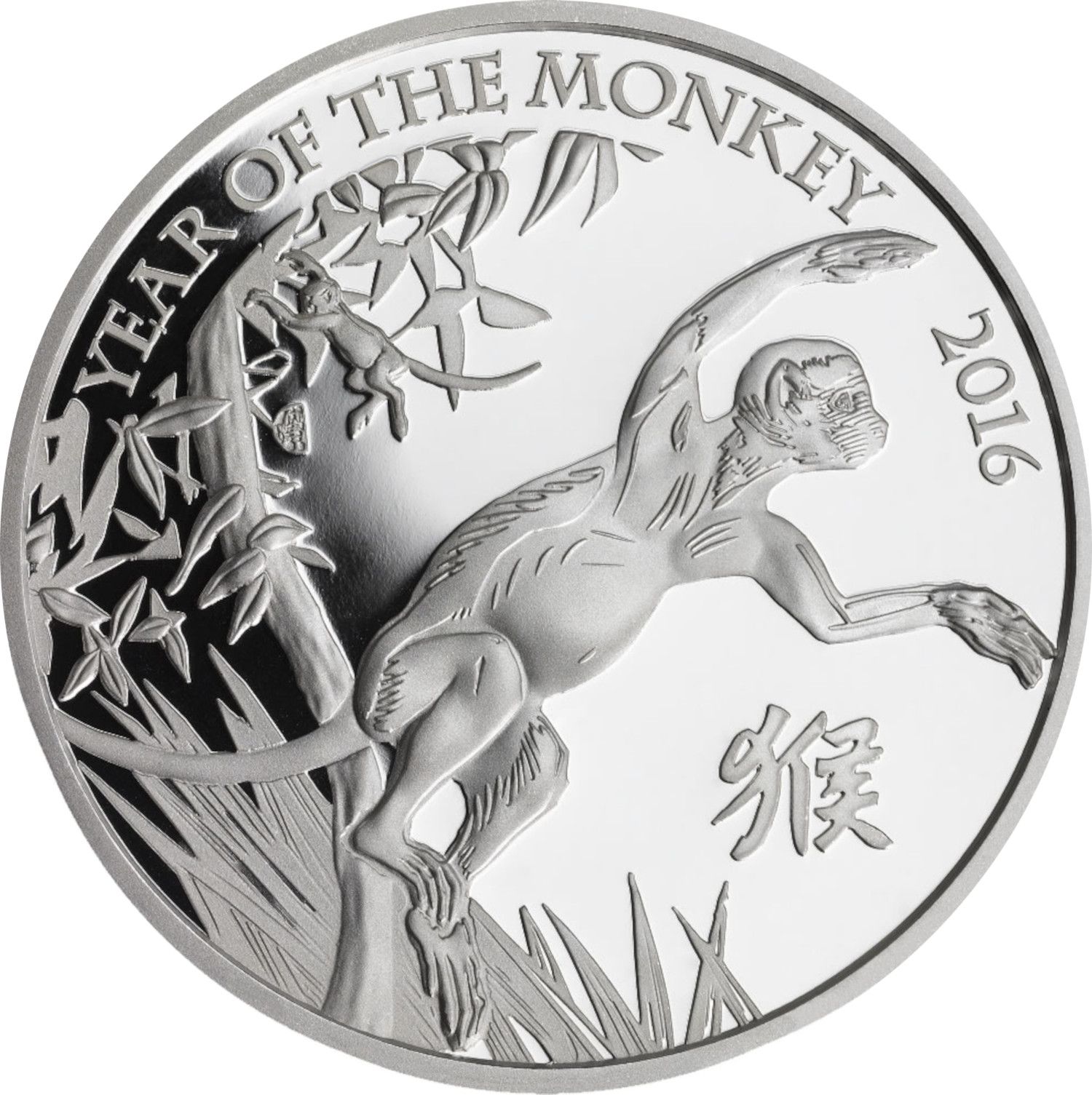 2 Pounds - Elizabeth II Year of the Monkey; Silver Proof reverse