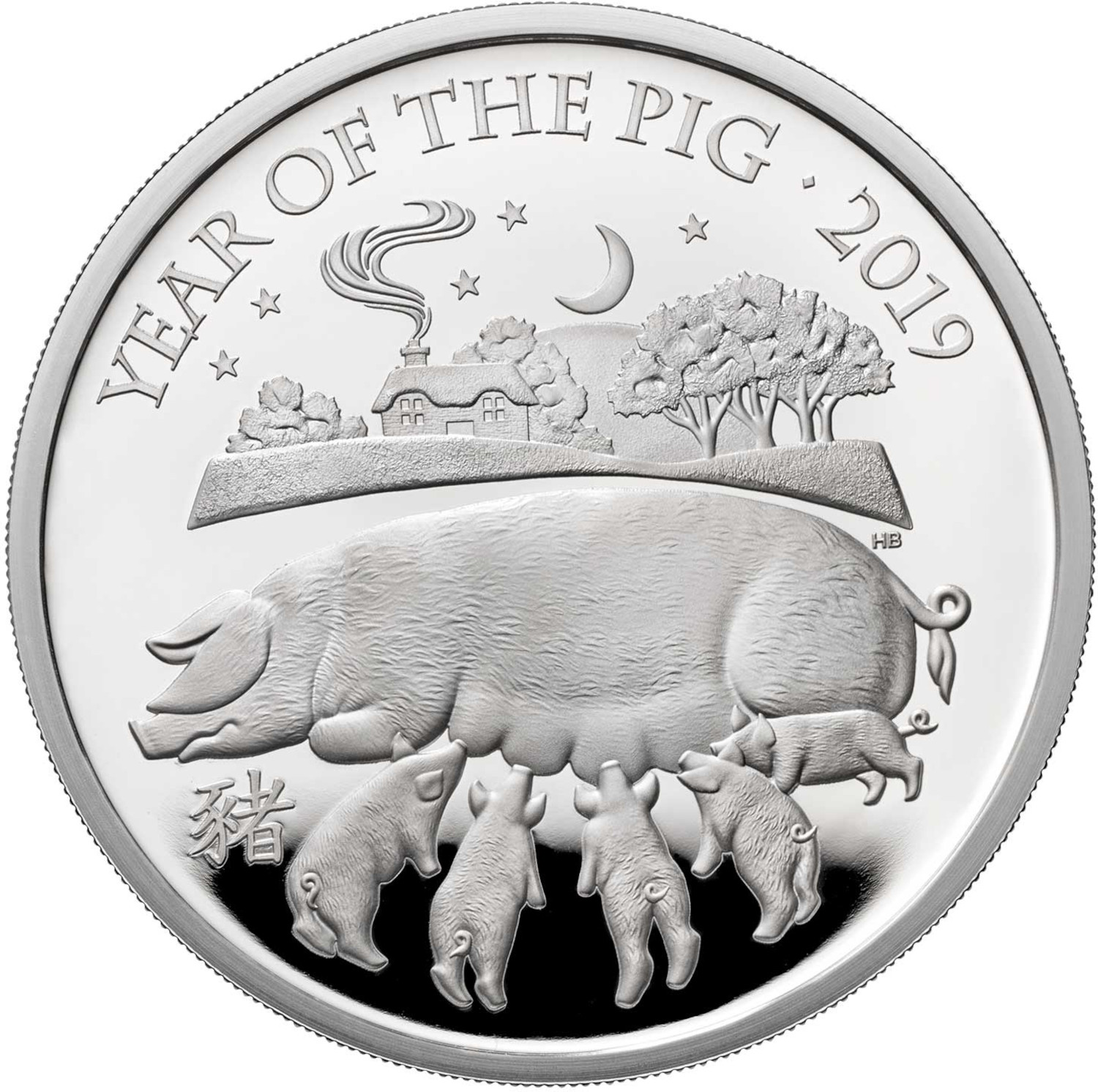 2 Pounds - Elizabeth II Year of the Pig; Silver Proof reverse