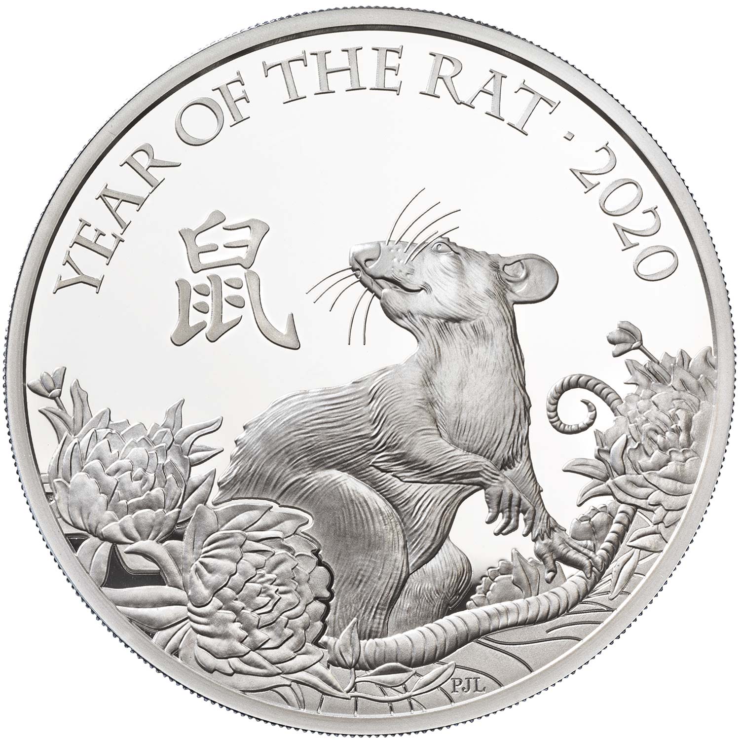 2 Pounds - Elizabeth II Year of the Rat; Silver Proof reverse