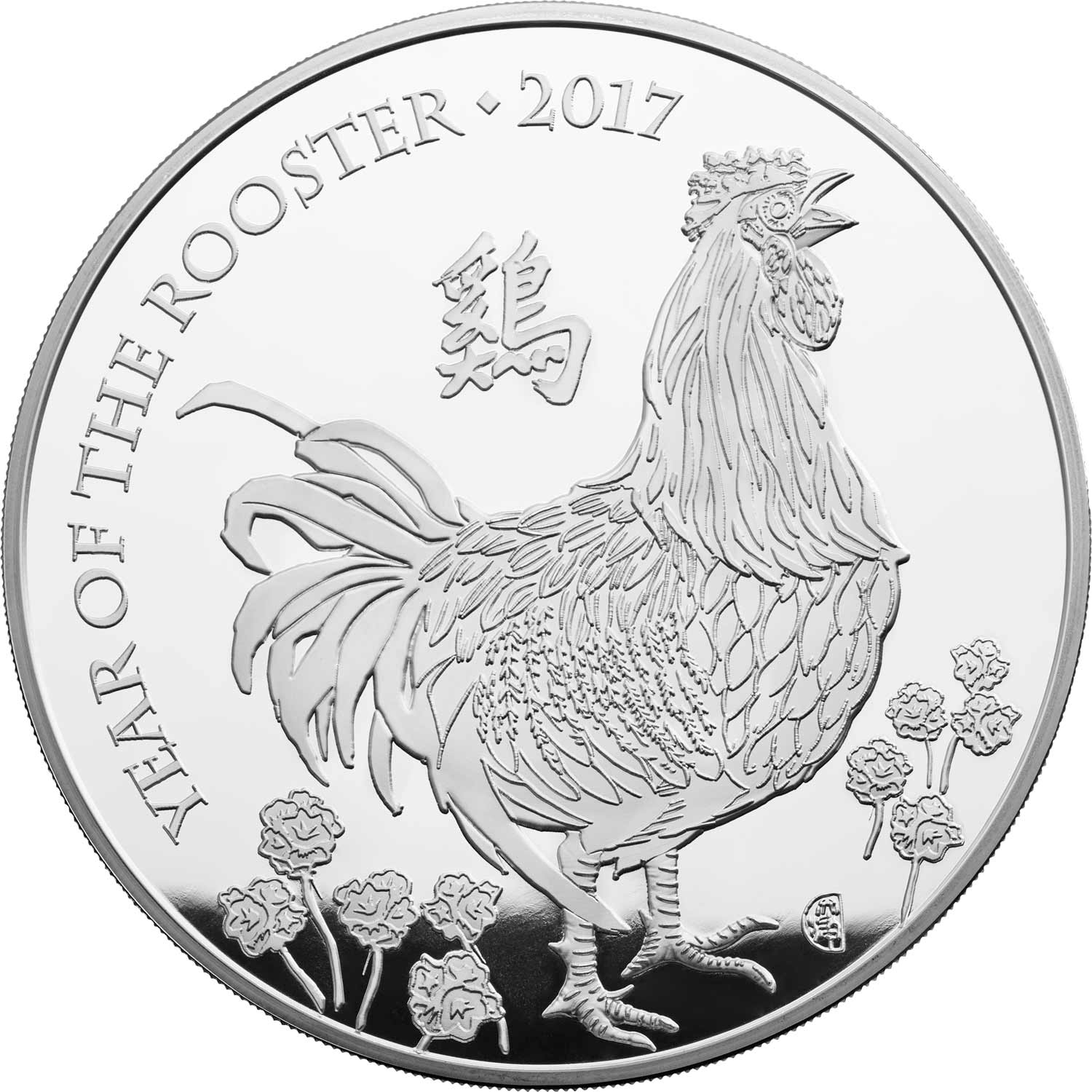 2 Pounds - Elizabeth II Year of the Rooster; Silver Proof reverse