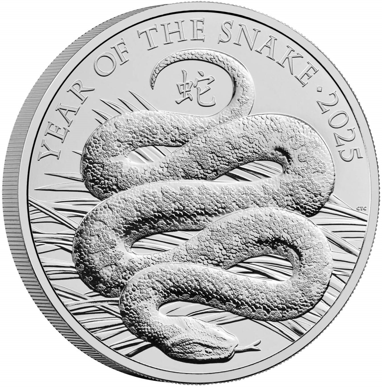 5 Pounds - Charles III Year of the Snake reverse