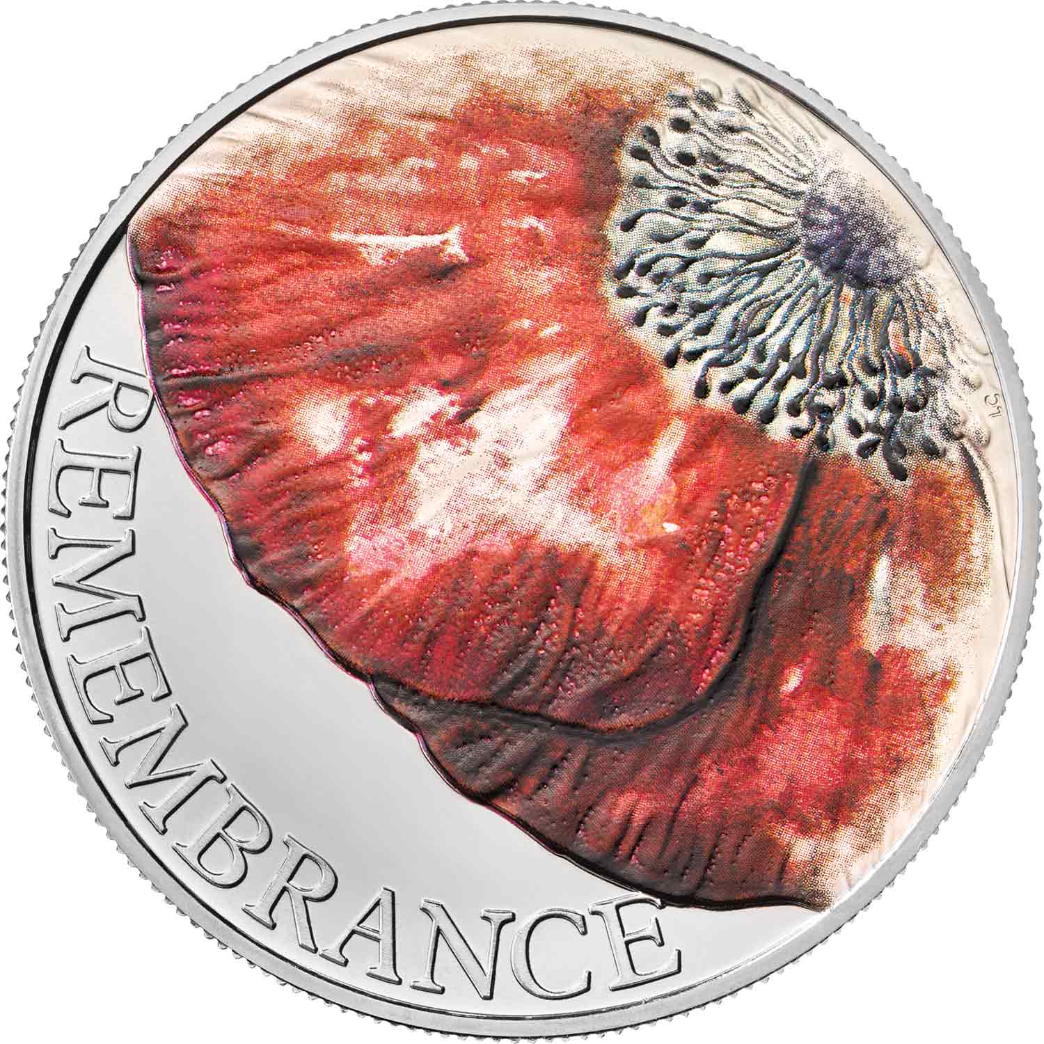 5 Pounds - Elizabeth II 5th Portrait; Remembrance Day 2018 reverse