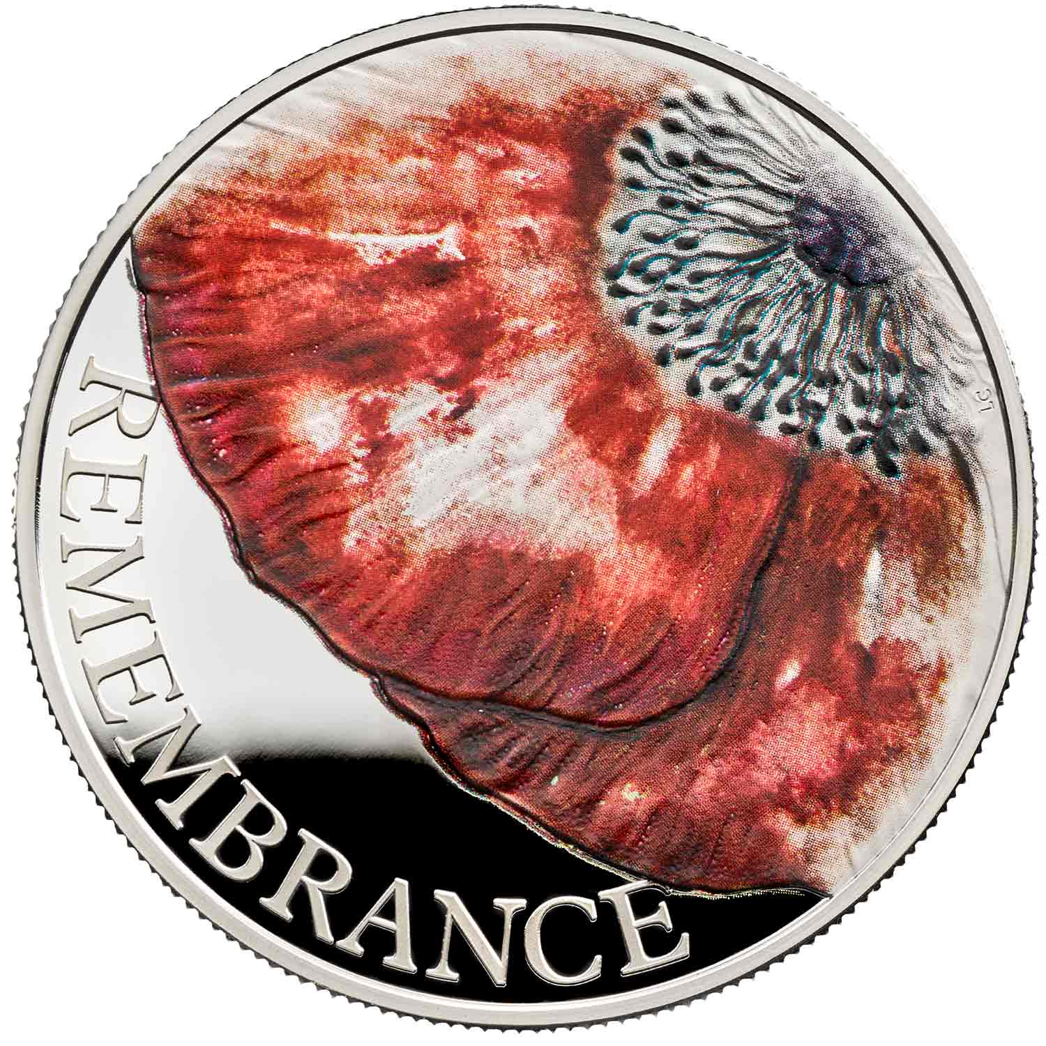 5 Pounds - Elizabeth II Remembrance Day 2018; Silver Piedfort reverse