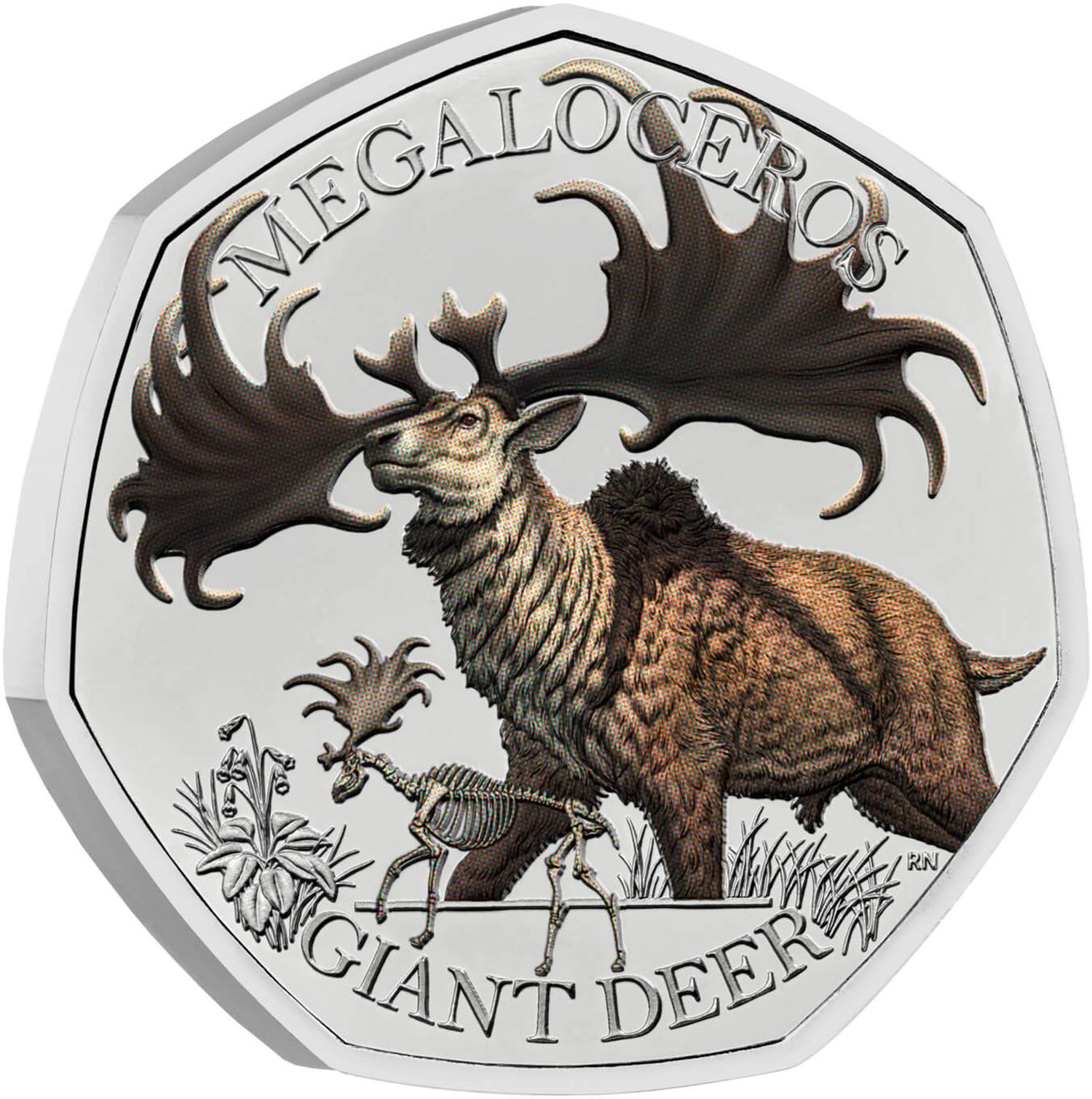 50 Pence - Charles III Giant Deer
