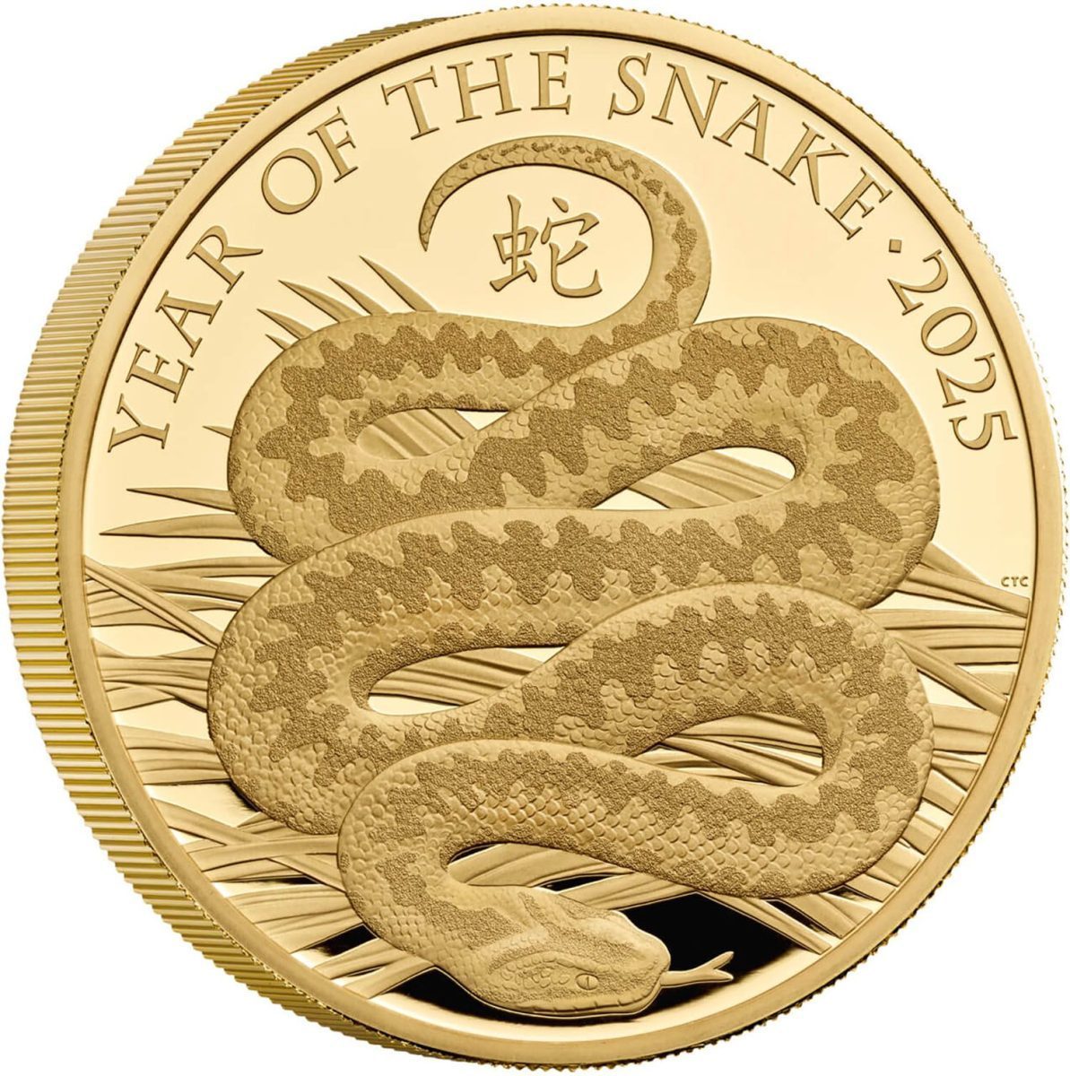 500 Pounds - Charles III Year of the Snake; Gold Proof