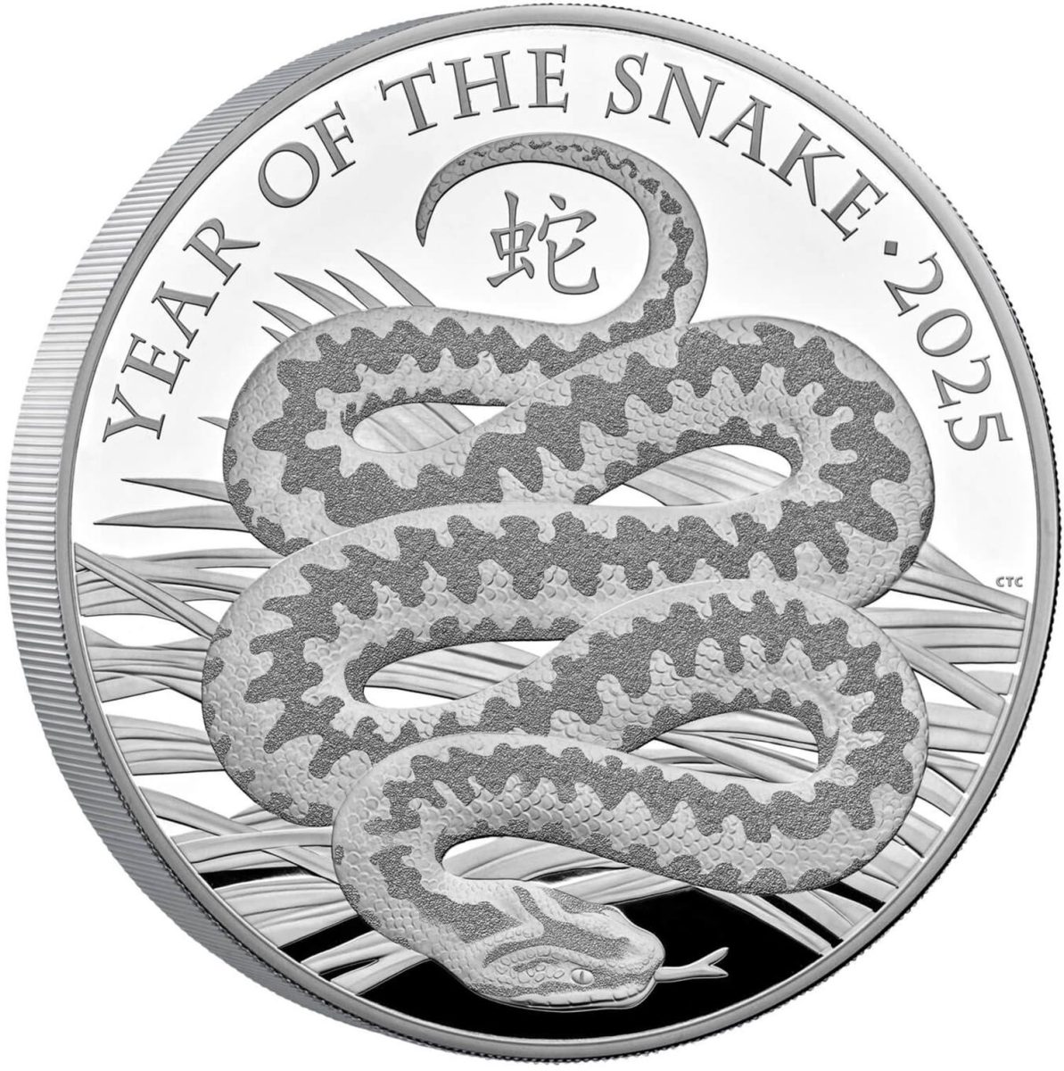 500 Pounds - Charles III Year of the Snake; Silver Proof reverse