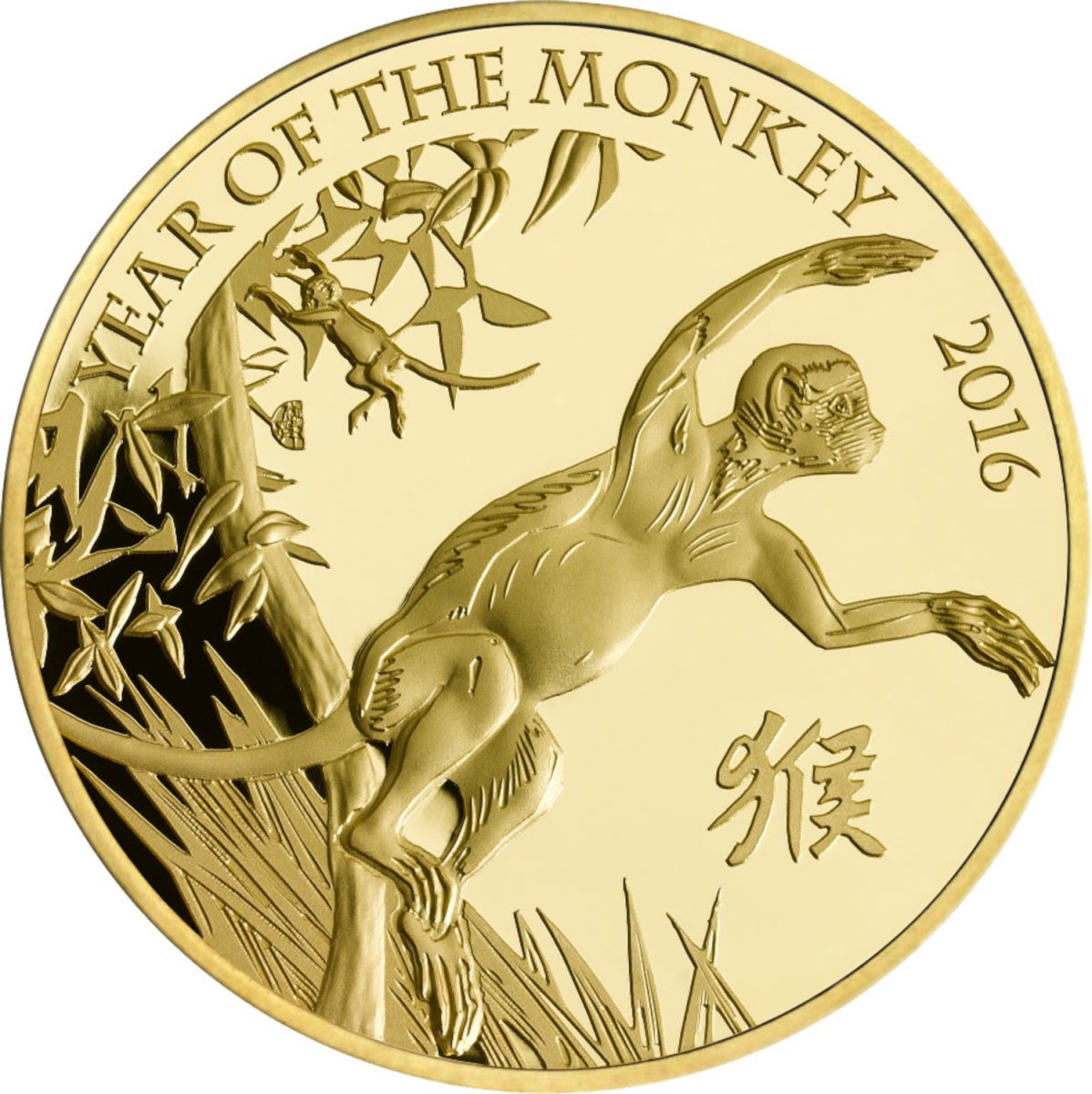 500 Pounds - Elizabeth II Year of the Monkey; Gold Proof