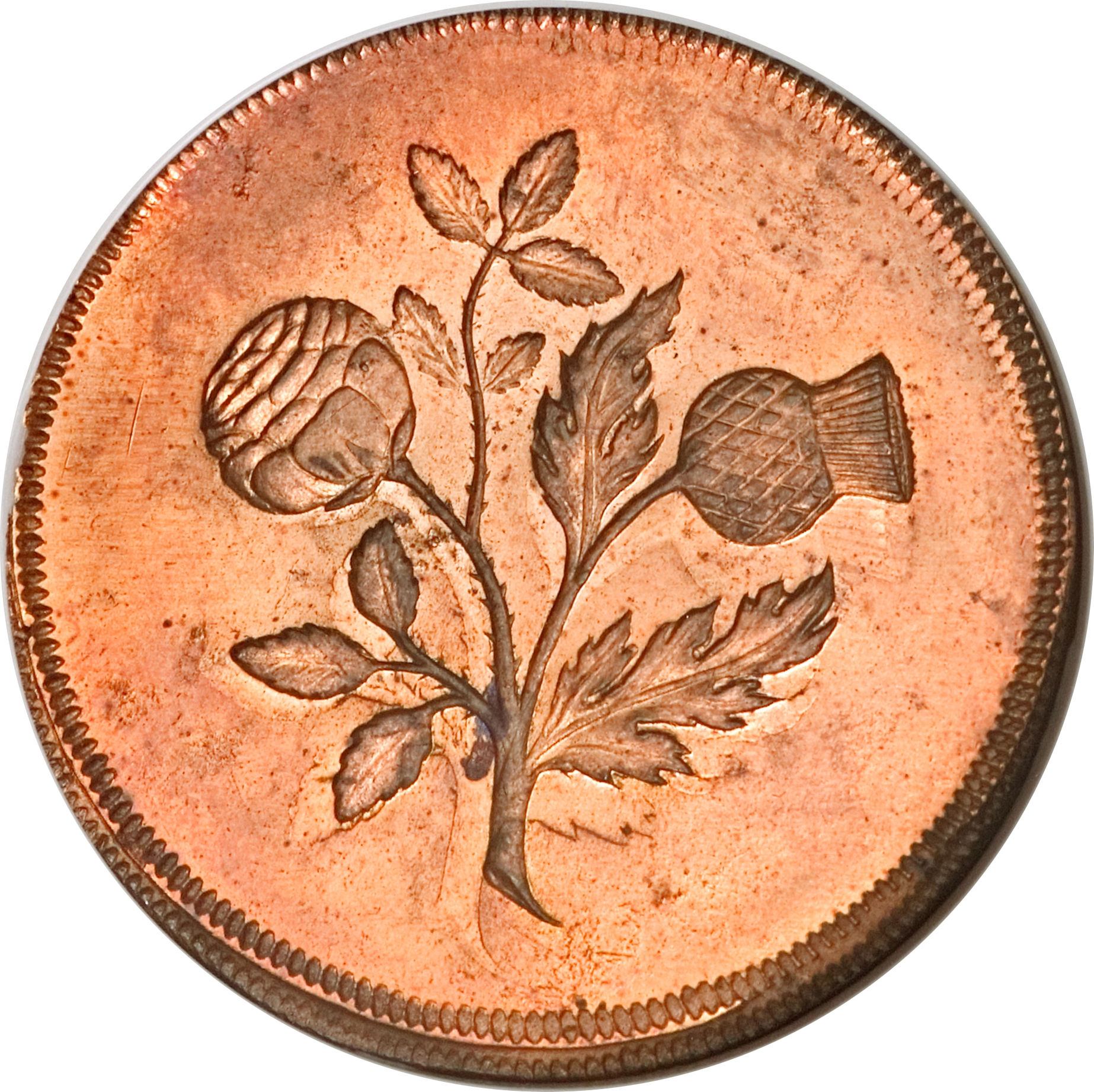 ½ Penny - Anne Pattern reverse