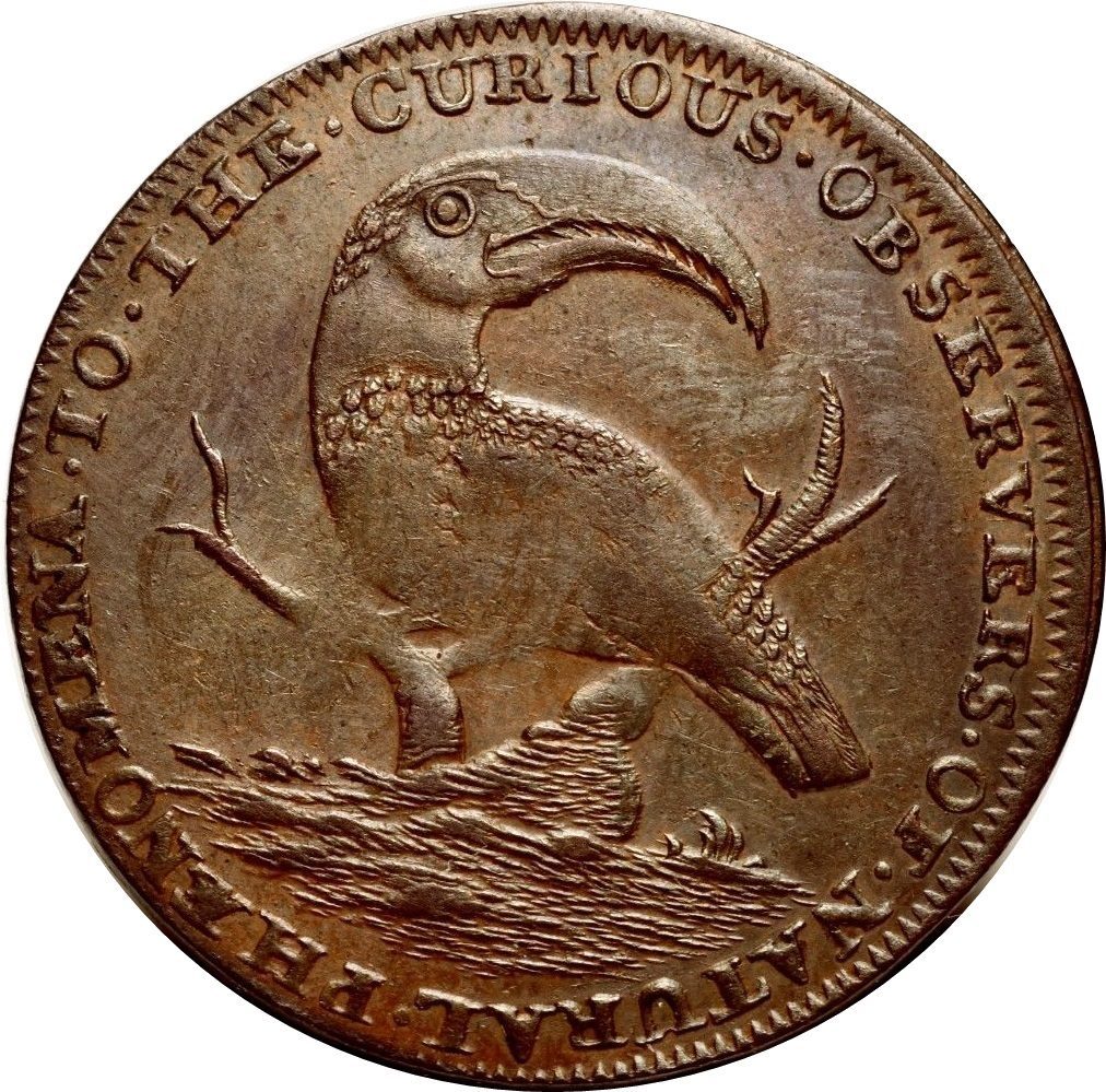 ½ Penny Middlesex - Pidcock's / Two-headed cow reverse