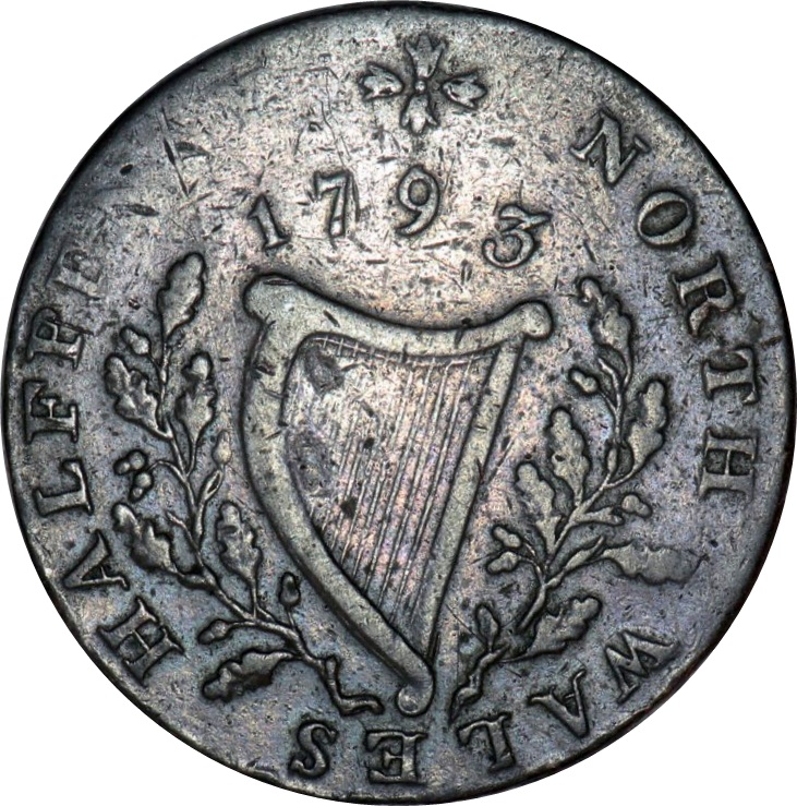 ½ Penny North Wales - Druid reverse