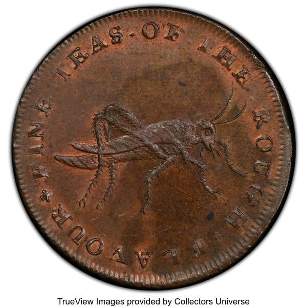 Token - Middlesex Stinton's Copper ½ Penny obverse