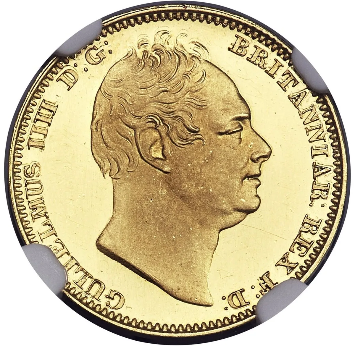 1831 half sovereign obverse Obverse of an 1831 gold half sovereign