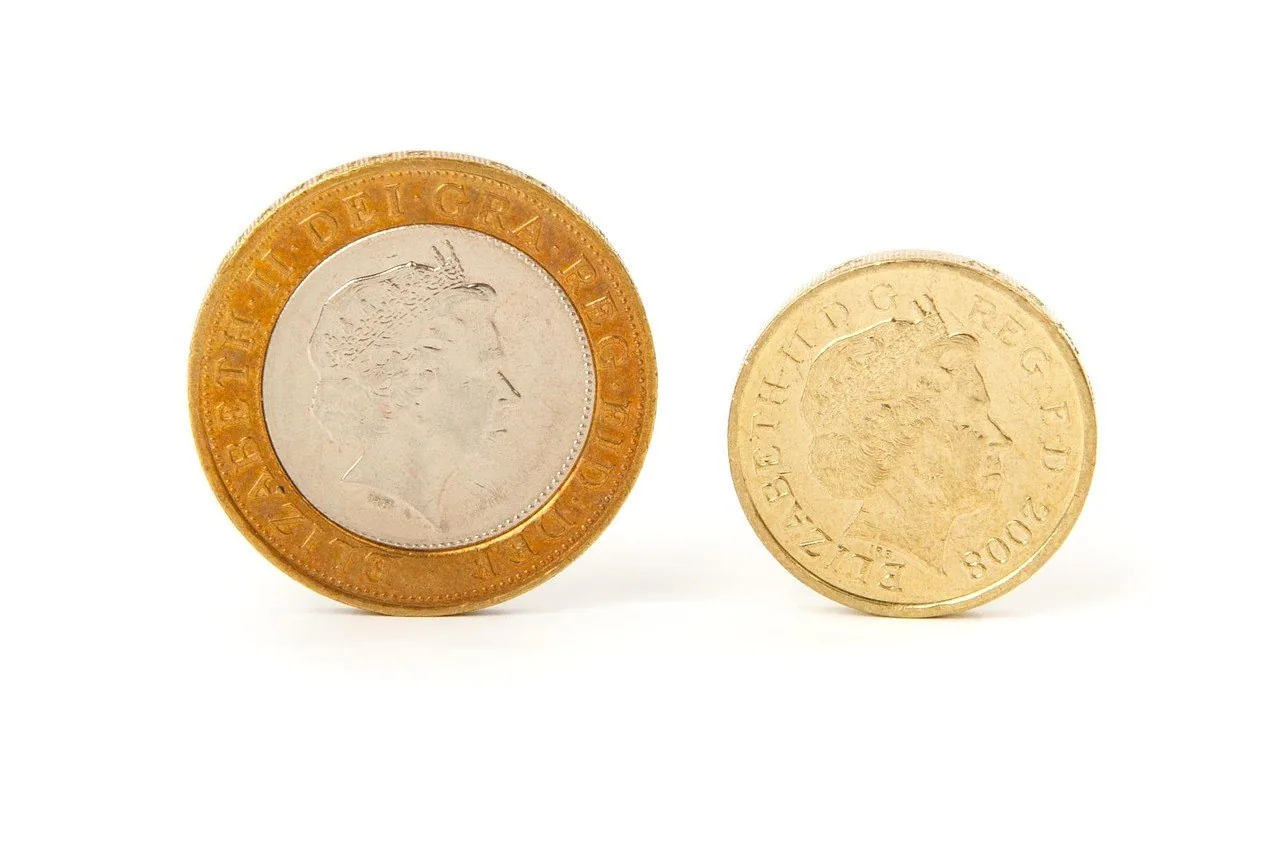 British pound coin British pound coin, design not identified