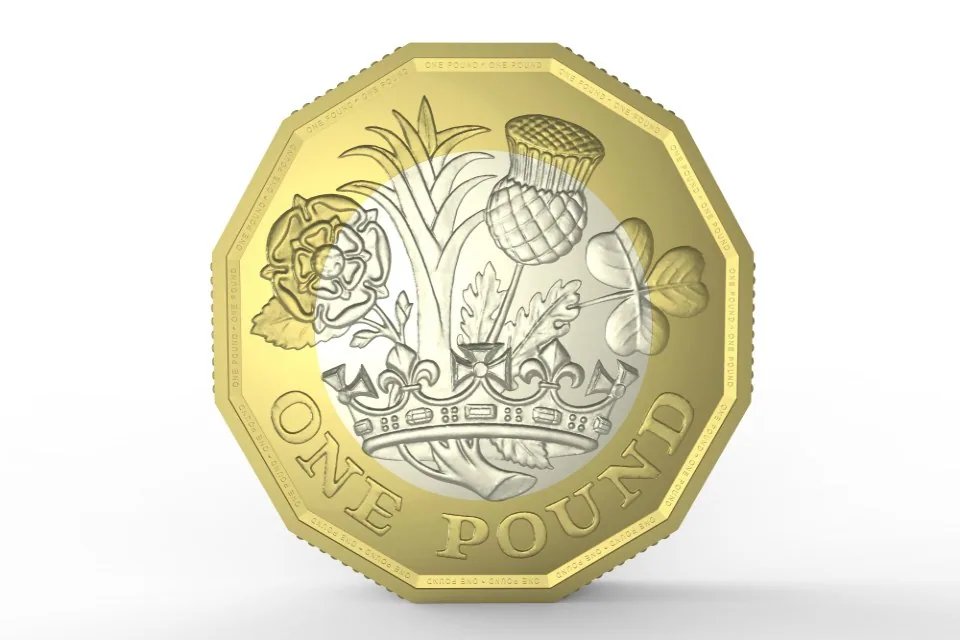 New 12-sided pound coin reverse Reverse of the new 12-sided pound coin, from the countdown announcement