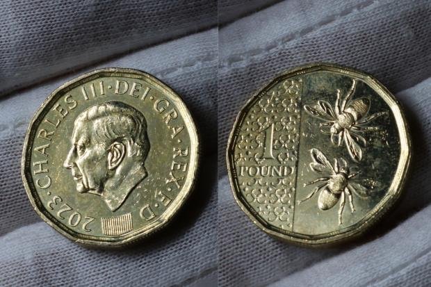 5 Mistakes New Coin Collectors Make (And How to Avoid Them)